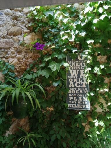Maison D'Art' Lette Bed & Breakfast Saint-Feliu-d'Avall Exterior photo